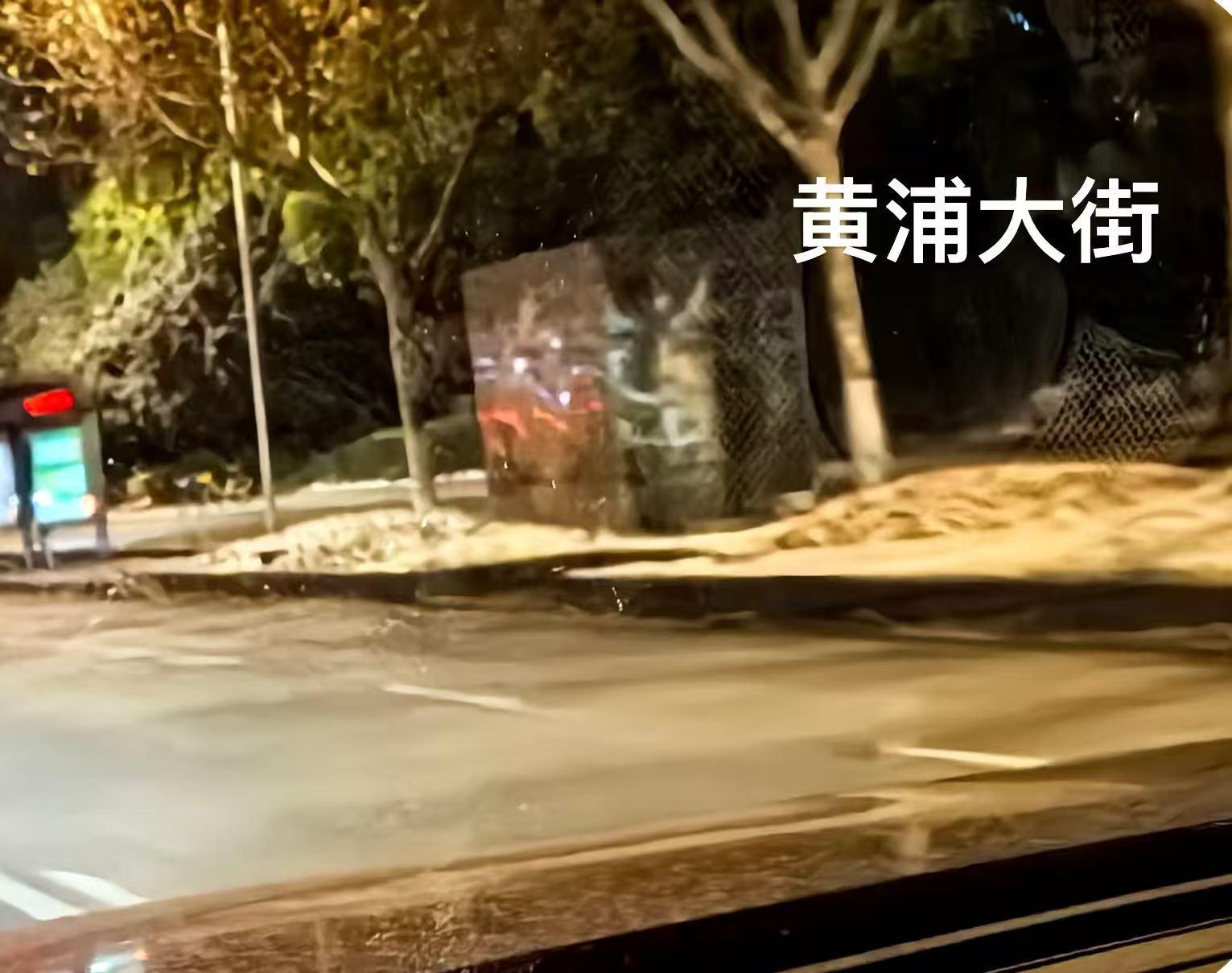 1769477334493029222.jpg 1769477334493029222.jpg